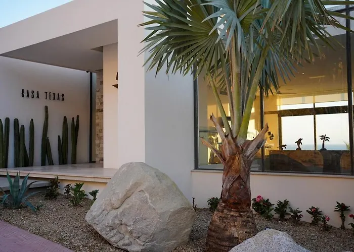 Actividades Y Juegos Que Todos Disfruten * Cabo San Lucas